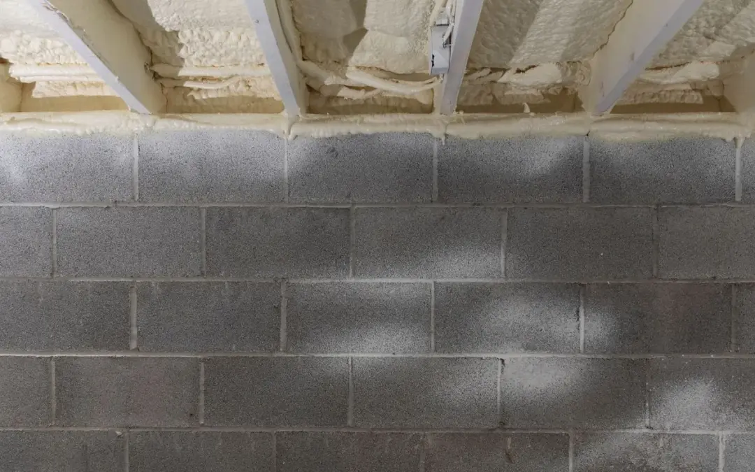 5 Reasons to Care for Your Home’s Crawl Space